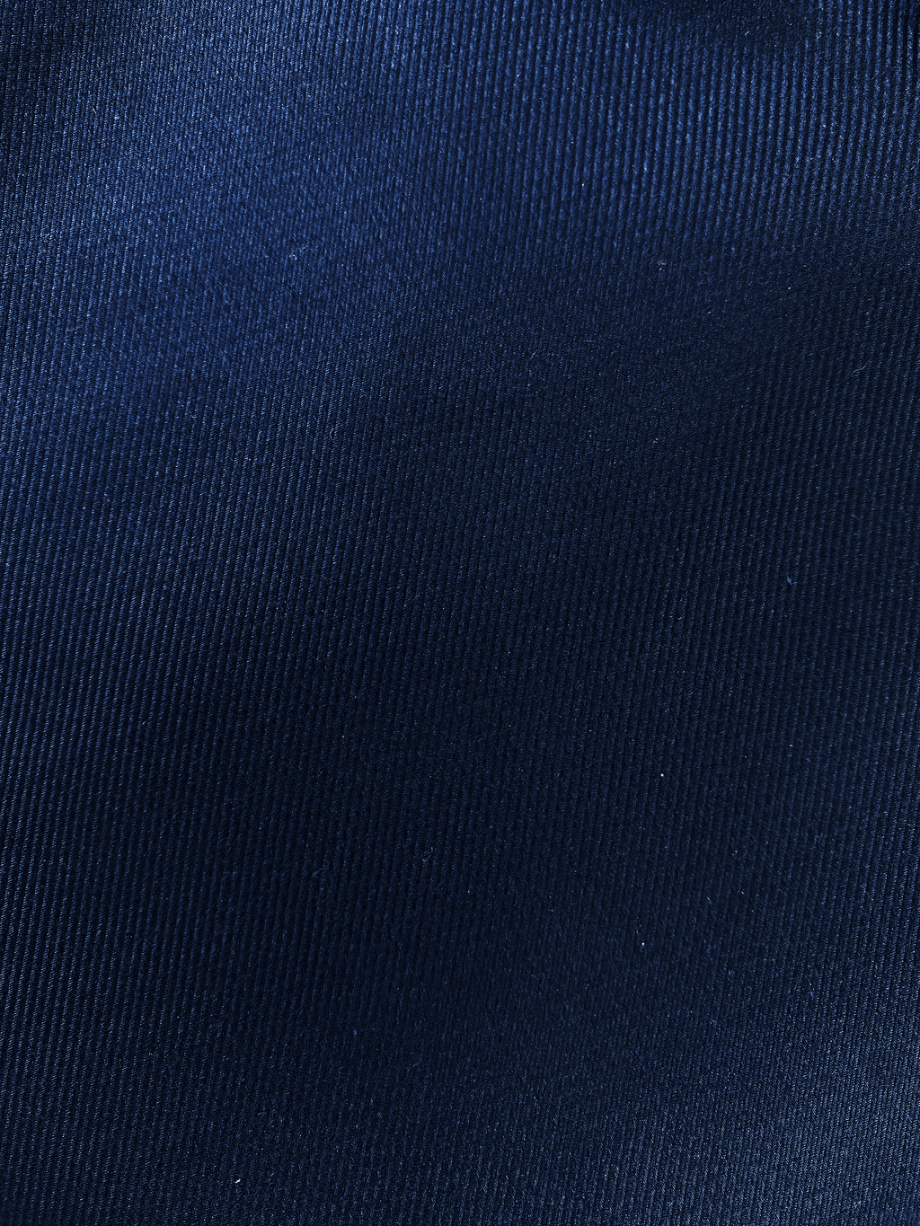 RALPH LAUREN MEN'S PREMIUM OXFORD SHIRT | NAVY BLUE