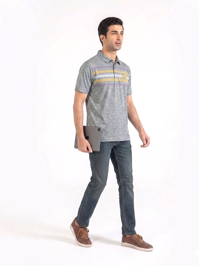 CAPTIVATING STRIPED POLO WITH SNAK LOGO | GREY