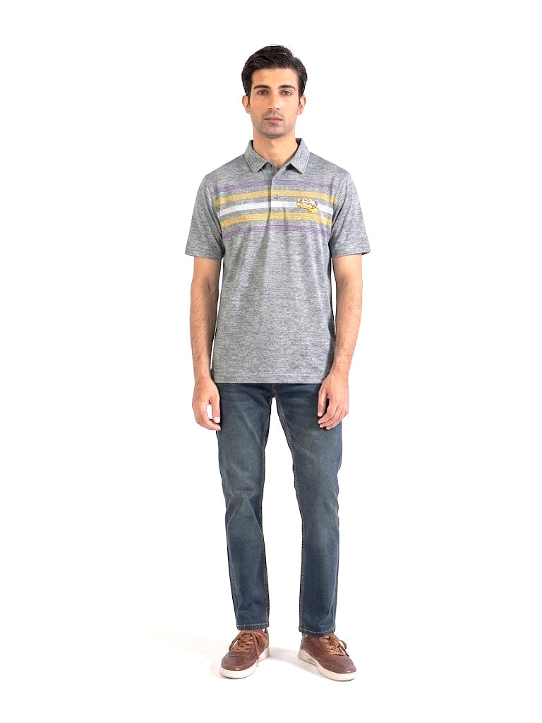 CAPTIVATING STRIPED POLO WITH SNAK LOGO | GREY